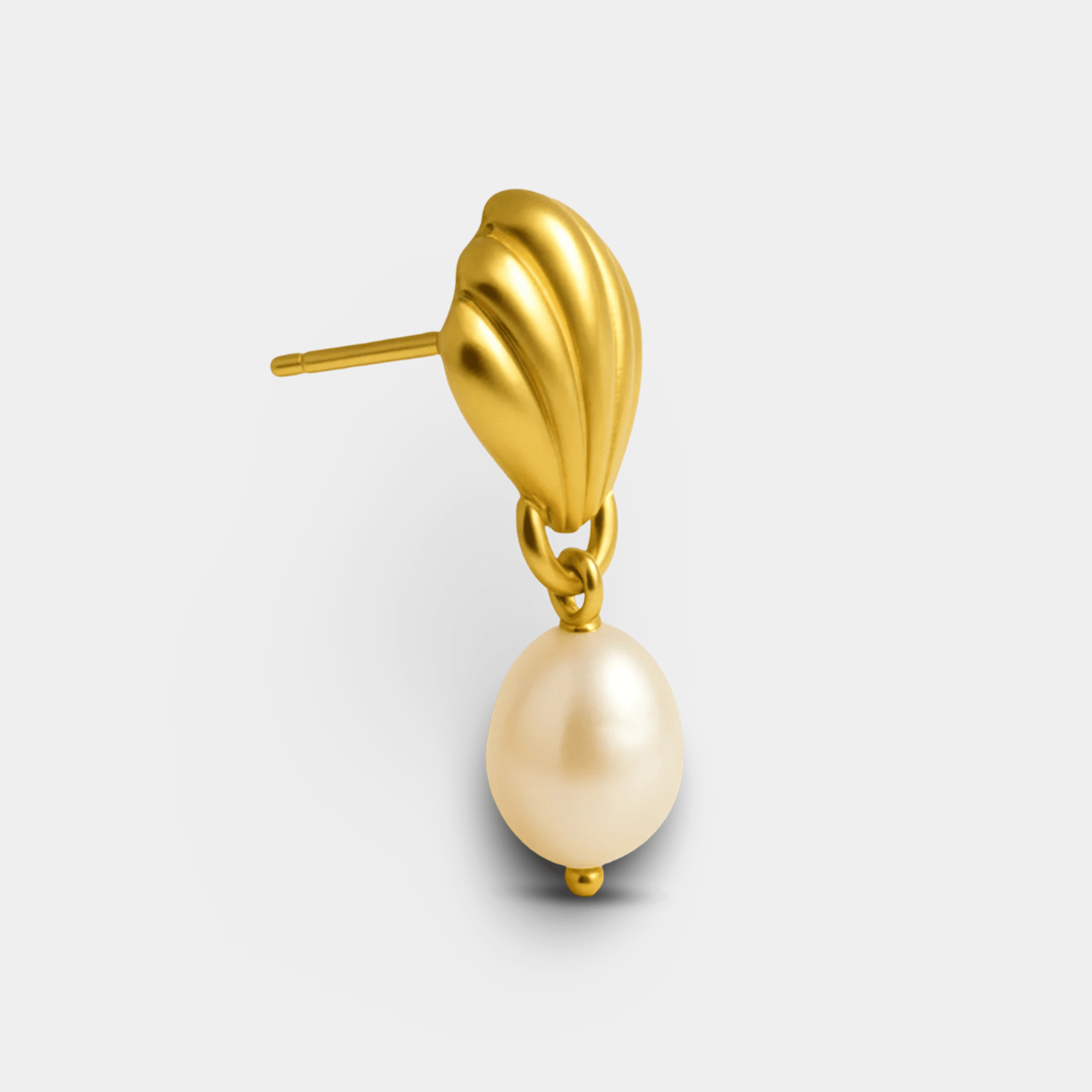 Pair of Glam Shell gold drop earrings laid flat showing coastal shell silhouette