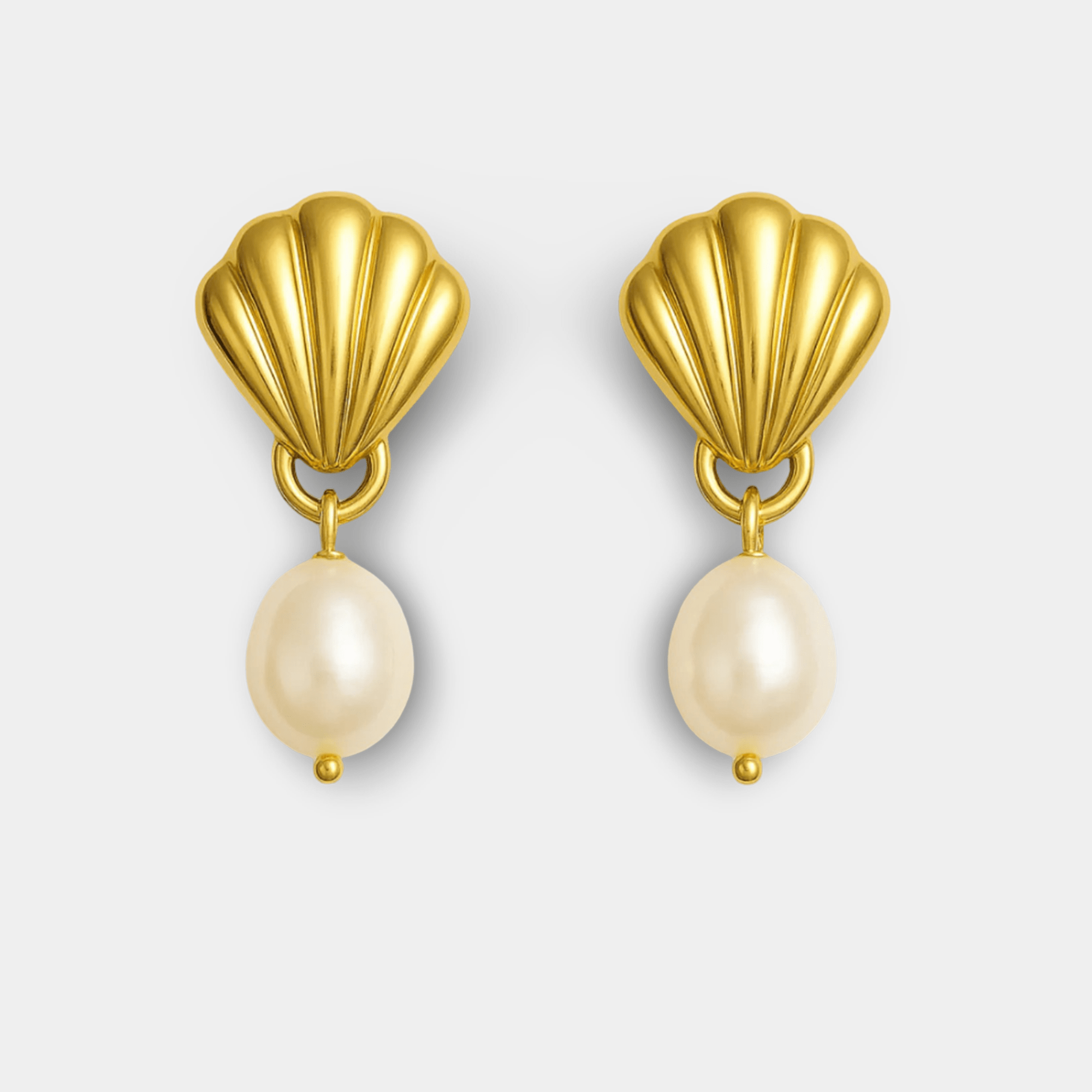 Glam Shell Earrings | Gold Shell Drop Earrings | Coastal Luxury Jewellery – MH ELEGANCE - MH ELEGANCE - Glam Shell Earrings - MH ELEGANCE -